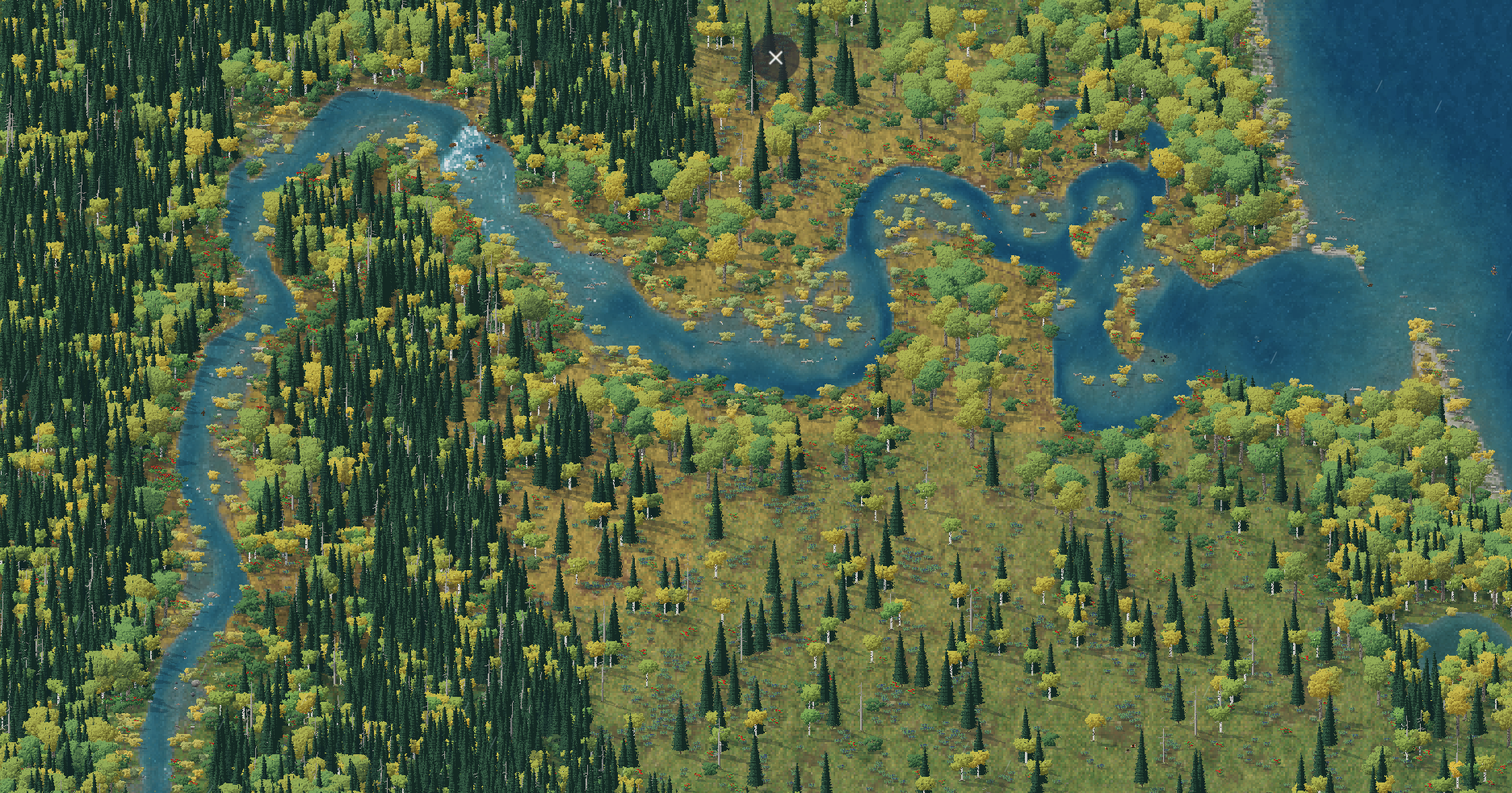 The whole river from above in autumn, winding through spruce forest with the birch and willow turned gold